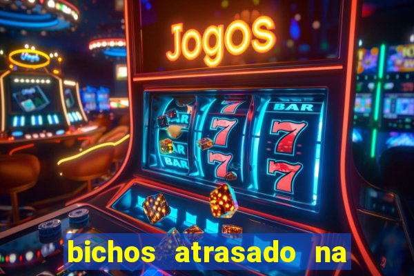 bichos atrasado na loteria dos sonhos